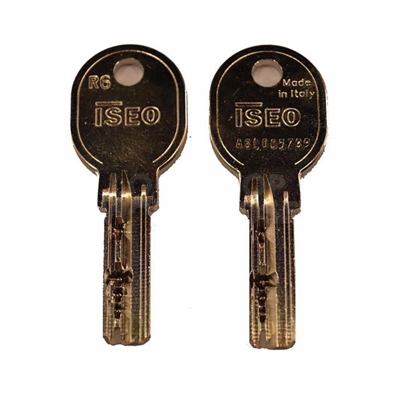 Gallery Image: Extra Key for ISEO F5 Cylinders
