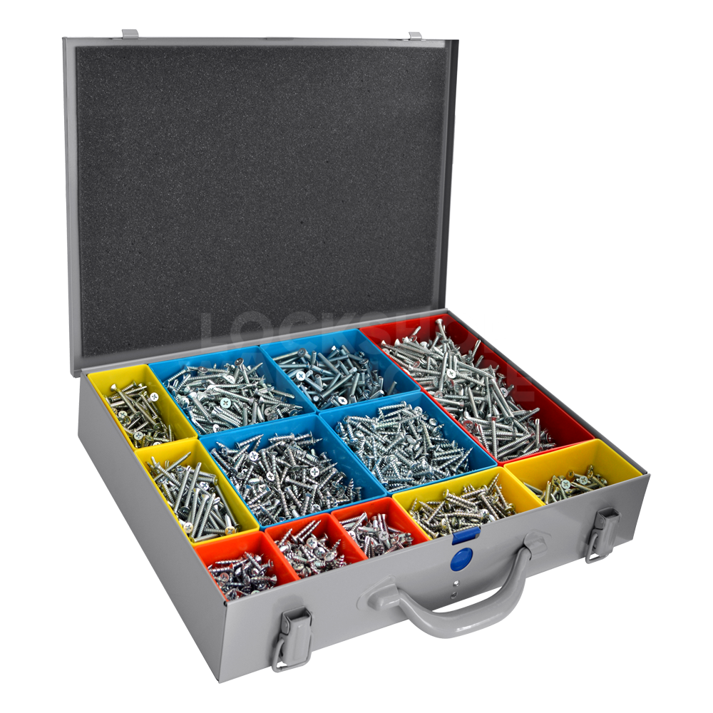 RAPIERSTAR UPVC Repair Screw Case Kit - 12 UPVC Screw Types