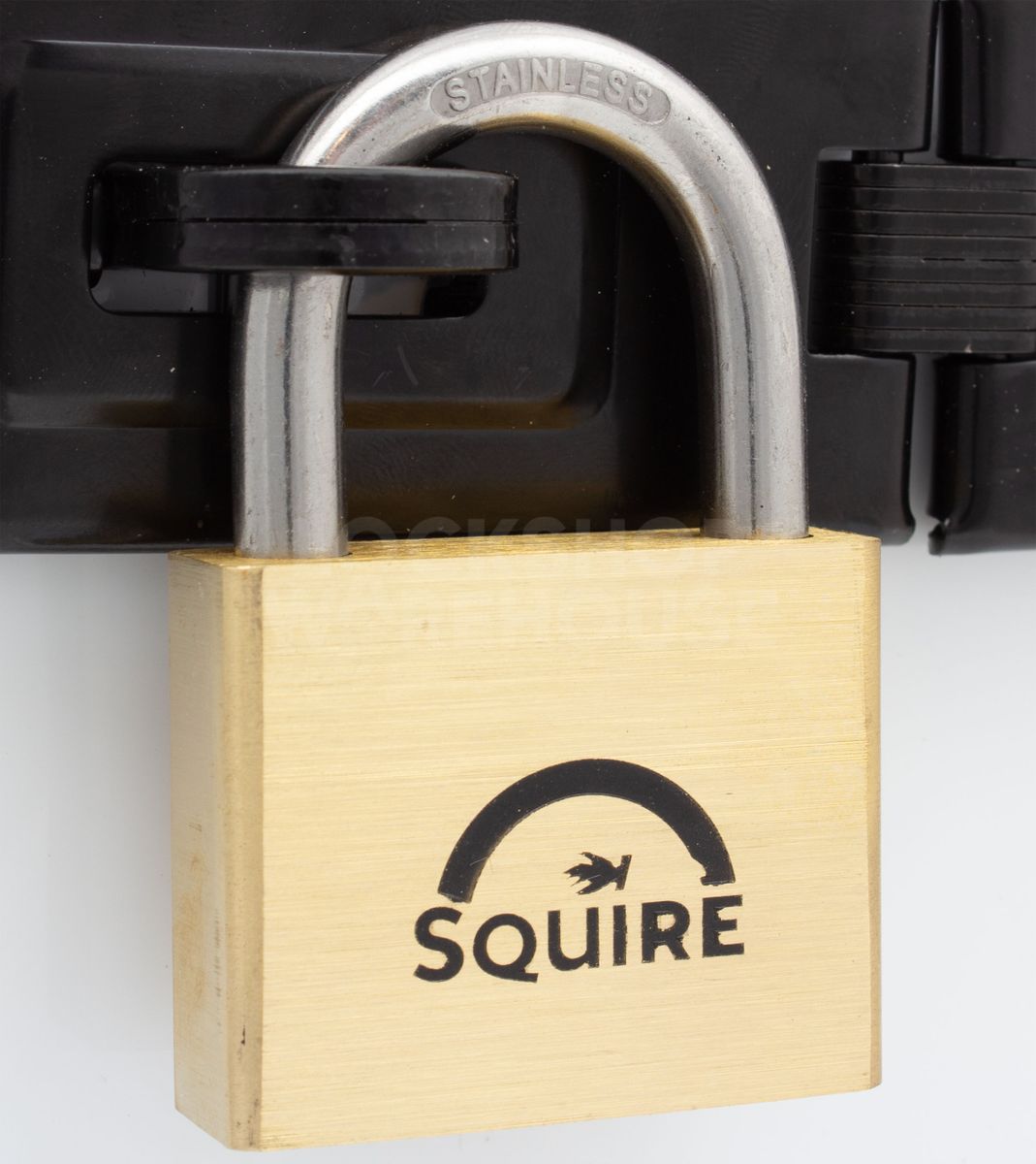 Gallery Image: Squire LN5S MARINE - 50mm - Brass Padlock  Stainless Steel Shackle