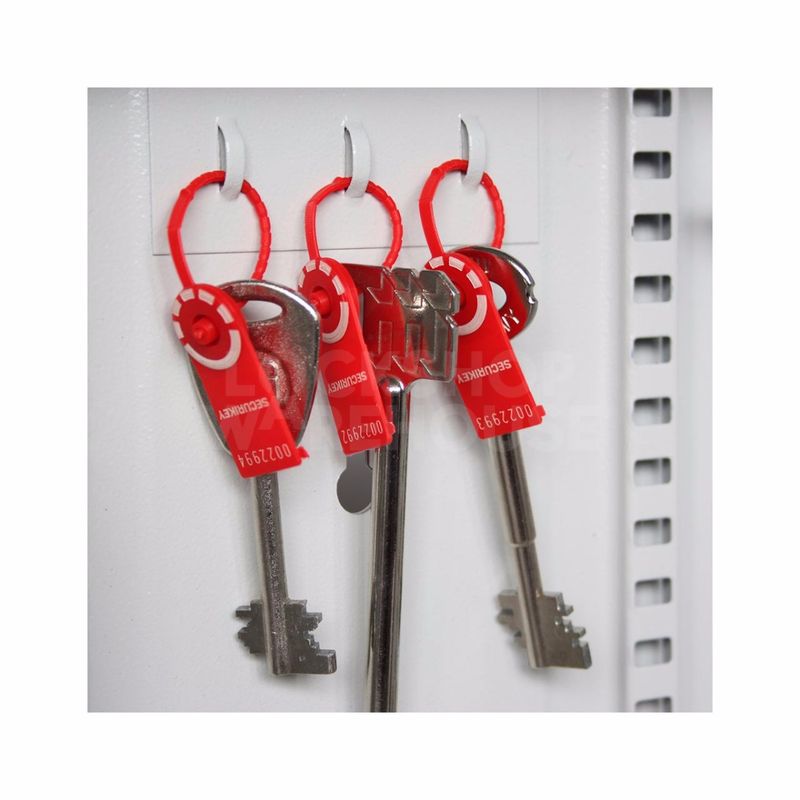 Gallery Image: Securikey Key Vault 30 Keys