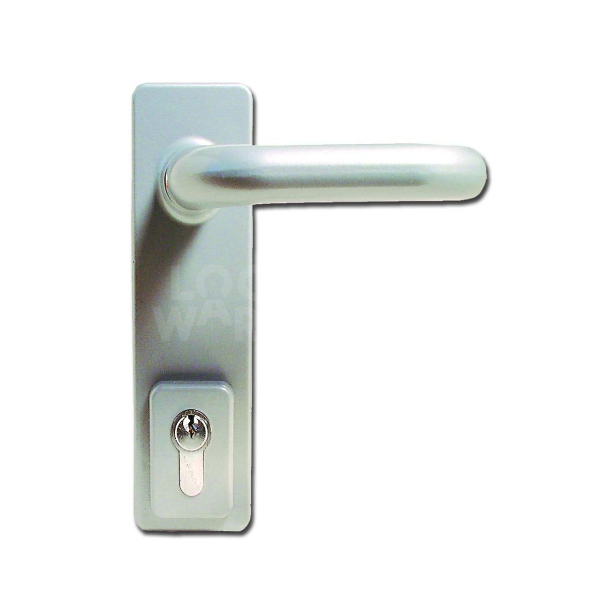 ASEC Lever Outside access device