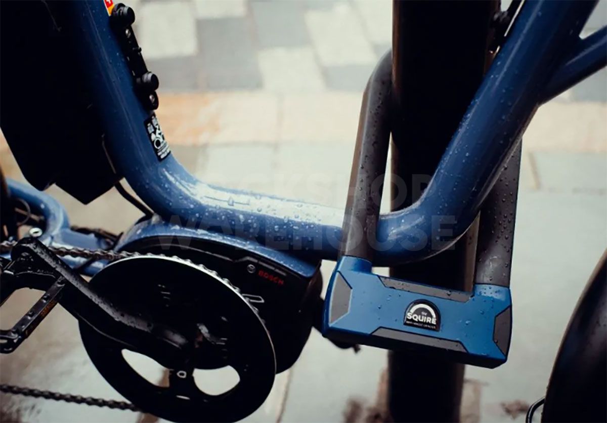 Gallery Image: SQUIRE Stronghold® D16 MAX - D Lock